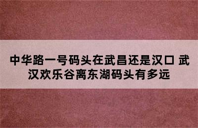 中华路一号码头在武昌还是汉口 武汉欢乐谷离东湖码头有多远